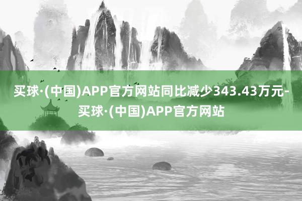 买球·(中国)APP官方网站同比减少343.43万元-买球·(中国)APP官方网站