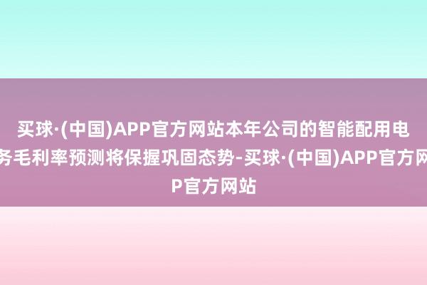 买球·(中国)APP官方网站本年公司的智能配用电业务毛利率预测将保握巩固态势-买球·(中国)APP官方网站