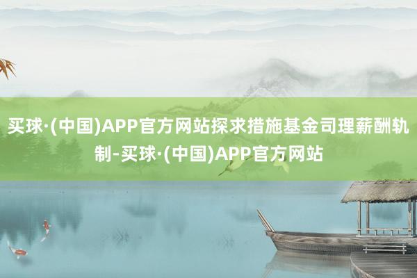 买球·(中国)APP官方网站探求措施基金司理薪酬轨制-买球·(中国)APP官方网站