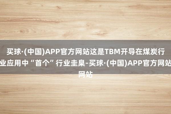 买球·(中国)APP官方网站这是TBM开导在煤炭行业应用中“首个”行业圭臬-买球·(中国)APP官方网站