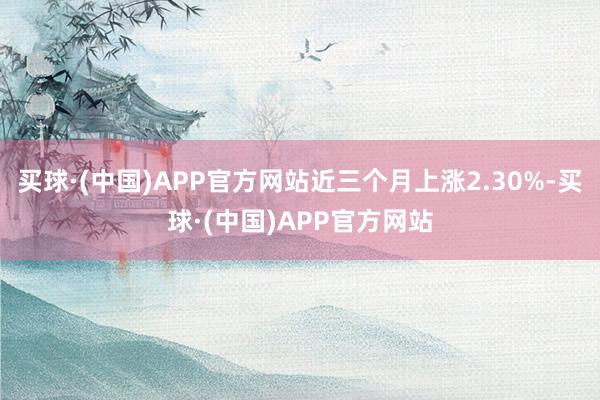 买球·(中国)APP官方网站近三个月上涨2.30%-买球·(中国)APP官方网站