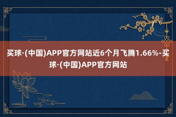 买球·(中国)APP官方网站近6个月飞腾1.66%-买球·(中国)APP官方网站