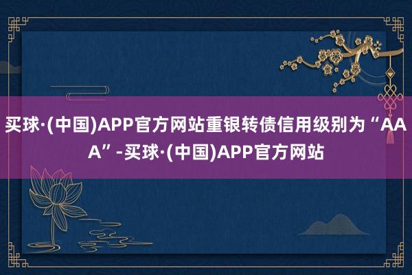 买球·(中国)APP官方网站重银转债信用级别为“AAA”-买球·(中国)APP官方网站