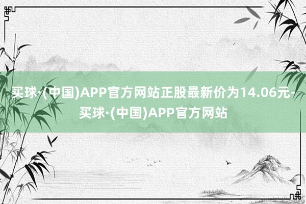 买球·(中国)APP官方网站正股最新价为14.06元-买球·(中国)APP官方网站