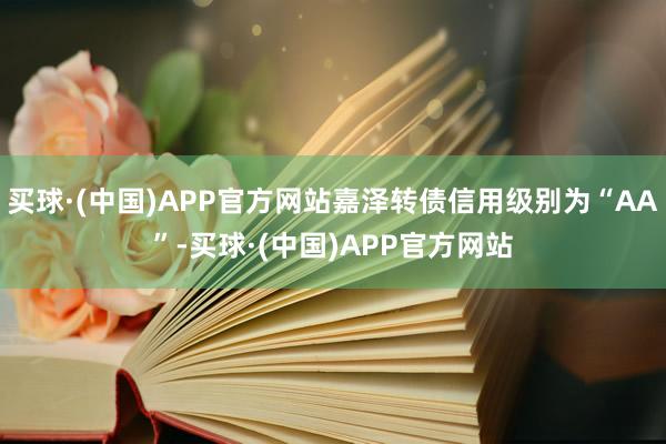 买球·(中国)APP官方网站嘉泽转债信用级别为“AA”-买球·(中国)APP官方网站