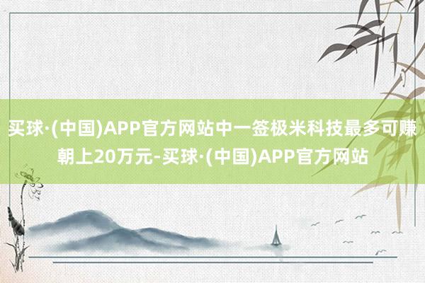 买球·(中国)APP官方网站中一签极米科技最多可赚朝上20万元-买球·(中国)APP官方网站