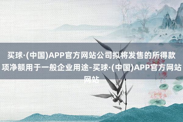 买球·(中国)APP官方网站公司拟将发售的所得款项净额用于一般企业用途-买球·(中国)APP官方网站