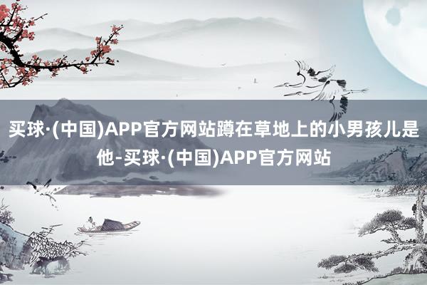 买球·(中国)APP官方网站蹲在草地上的小男孩儿是他-买球·(中国)APP官方网站