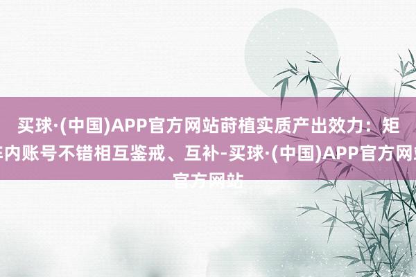 买球·(中国)APP官方网站莳植实质产出效力：矩阵内账号不错相互鉴戒、互补-买球·(中国)APP官方网站