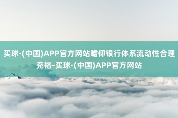 买球·(中国)APP官方网站瞻仰银行体系流动性合理充裕-买球·(中国)APP官方网站