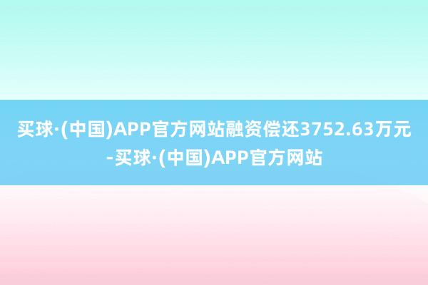 买球·(中国)APP官方网站融资偿还3752.63万元-买球·(中国)APP官方网站