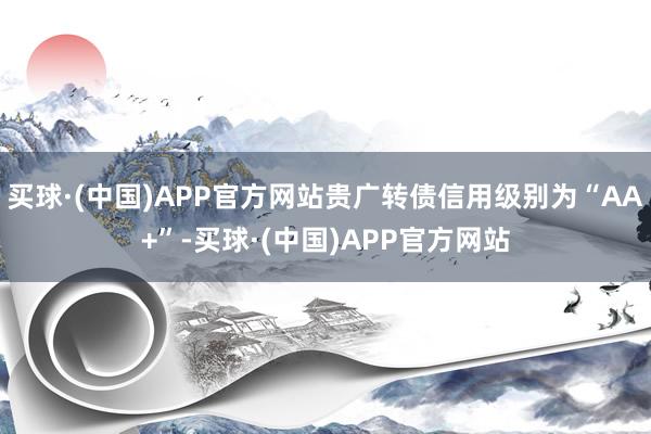 买球·(中国)APP官方网站贵广转债信用级别为“AA+”-买球·(中国)APP官方网站