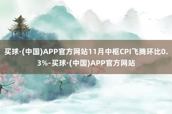 买球·(中国)APP官方网站11月中枢CPI飞腾环比0.3%-买球·(中国)APP官方网站