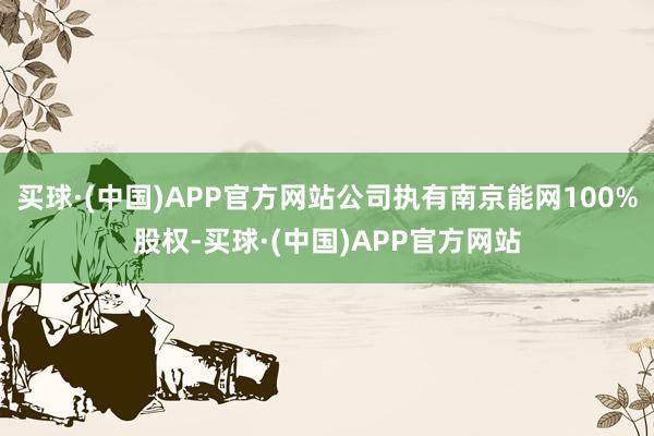 买球·(中国)APP官方网站公司执有南京能网100%股权-买球·(中国)APP官方网站