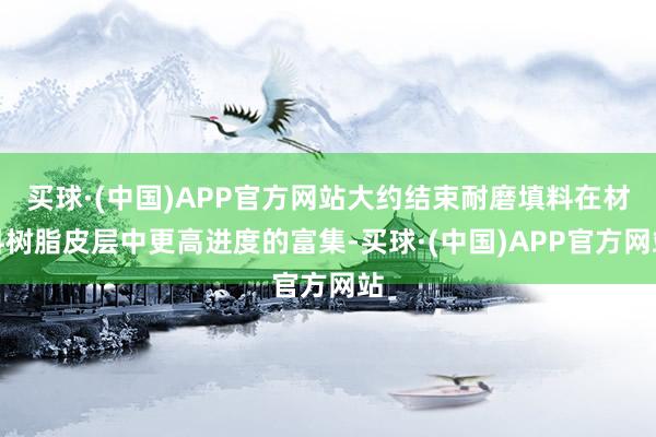 买球·(中国)APP官方网站大约结束耐磨填料在材料树脂皮层中更高进度的富集-买球·(中国)APP官方网站