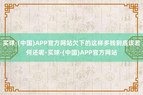 买球·(中国)APP官方网站欠下的这样多钱到底该若何还呢-买球·(中国)APP官方网站